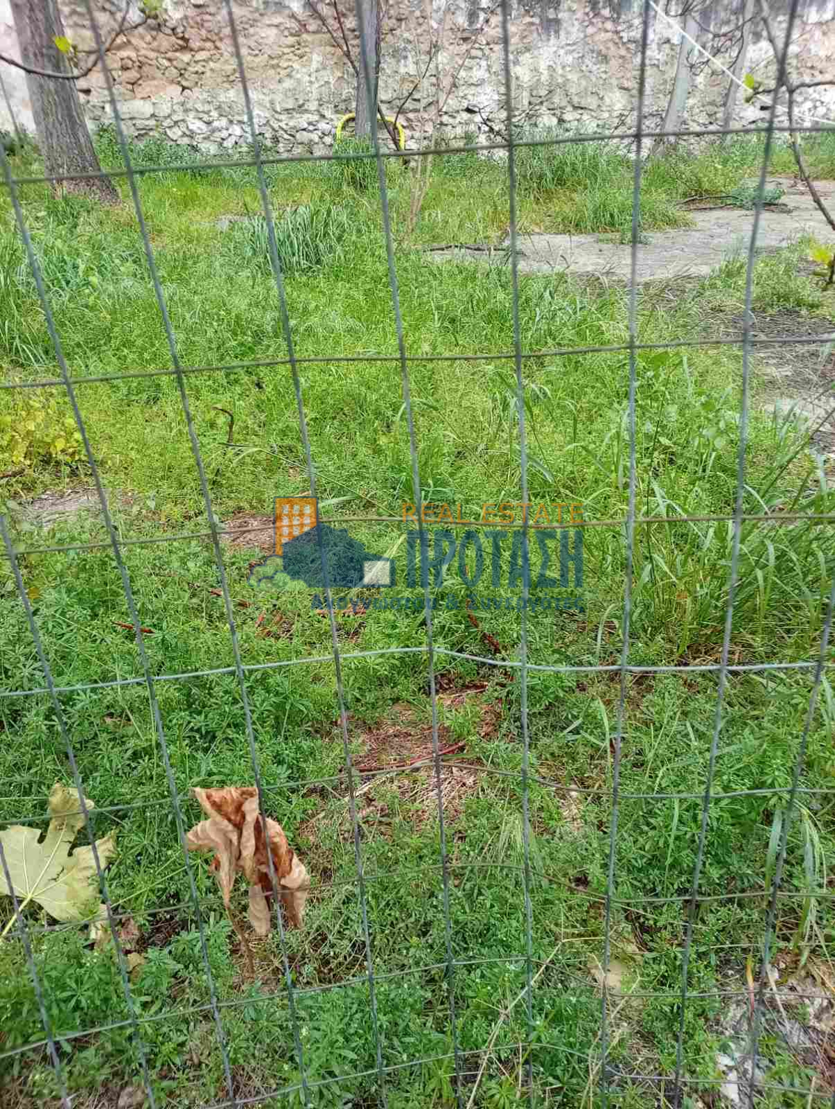 property-img