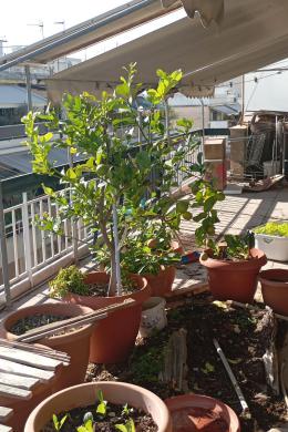 Apartment Sale - ATHINA, ATTICA