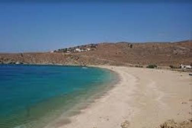 ΑΝΔΡΟΣ ΜΥΡΜΗΓΚΙΕΣ ΕΚΤΑΣΗ 9800 Τ.Μ. ΕΚΤΟΣ ΣΧΕΔΙΟΥ 50.000 ΕΥΡΩ