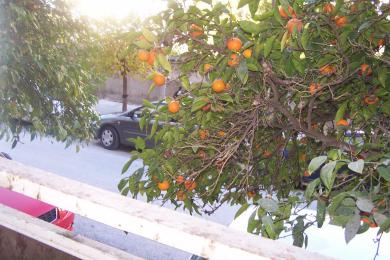 Land Sale - ATHINA, ATTICA
