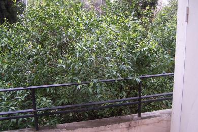 Οικιστικό Κτίριο προς Πώληση - ΑΘΗΝΑ, ΑΤΤΙΚΗ