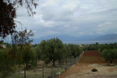 Agricultural Land Plot Sale - KALAMOS, ATTICA