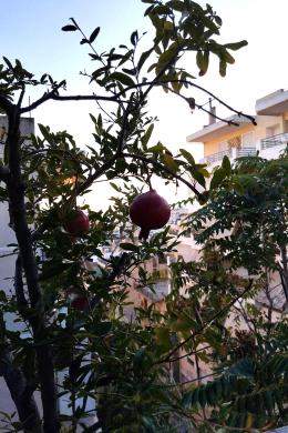 Διαμέρισμα προς Πώληση - ΑΘΗΝΑ, ΑΤΤΙΚΗ